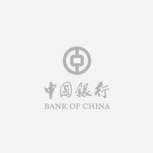 成都网站建设案例:中国银行